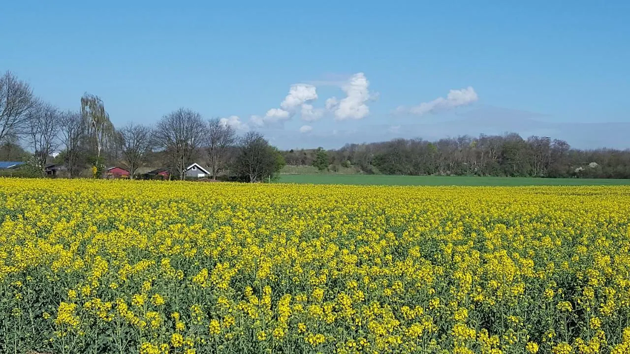 Gastezimmer Zum Neuenhof Kolonia Niemcy